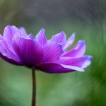 国产欧美另类久久久精品 1gulgdvw