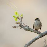 国色天香社区在线观看 3a642uhnf