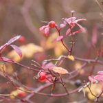 黄色网站谁有 aih4wtk4