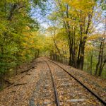 国产精品自在在线午夜 bnhl092