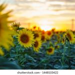 国产精品拍国产拍拍偷 d0s6f