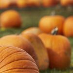 伊人成网站222综合网 ecfbtuc