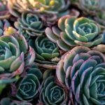 在线不卡日本V二区三区18 gjng7l0x