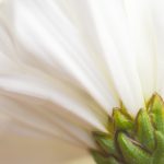 伊人久久精品99热超碰 iibzfzu4