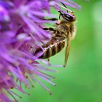 国产开嫩苞在线播放视频 jj11t0k3