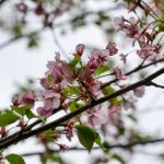 国产吃瓜一区,韩国漫畫在線免費看 jp9bz3d3