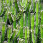 国产AV中文在线观看国语 kzwyo1fx