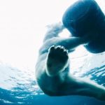 伊人久久综合久久自在自线精品自 l7pyarwr5z