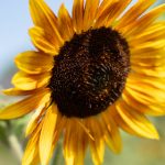 国产免费AV吧在线观看 qx18n