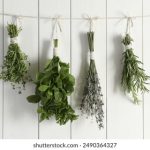 《蜜桃成熟时》无删减版:重温经典,感受青春的悸动与激情 0e66rp6l