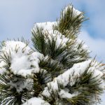 今日吃瓜:ccgg最新动态与热门话题全解析 2046eeby