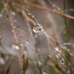 《禁闭岛》中他老婆为何选择杀害小孩的深层原因解析 ka33j