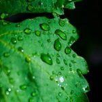 今日头条十大新闻盘点:不可错过的热点事件 t2lv3